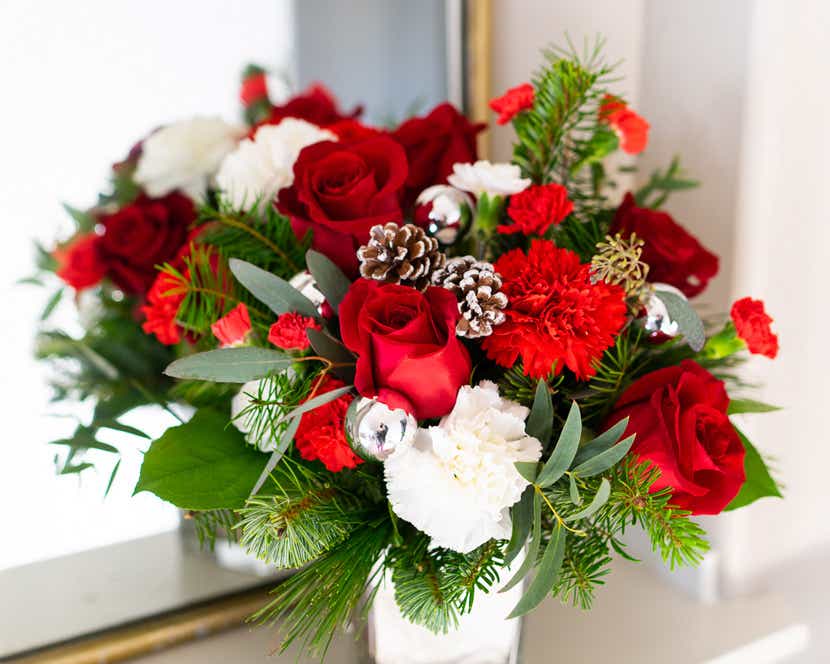 Christmas Flowers