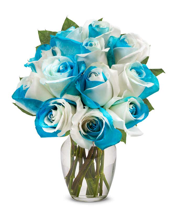 One dozen blue and white swirled roses with an optional vase and personalized card message