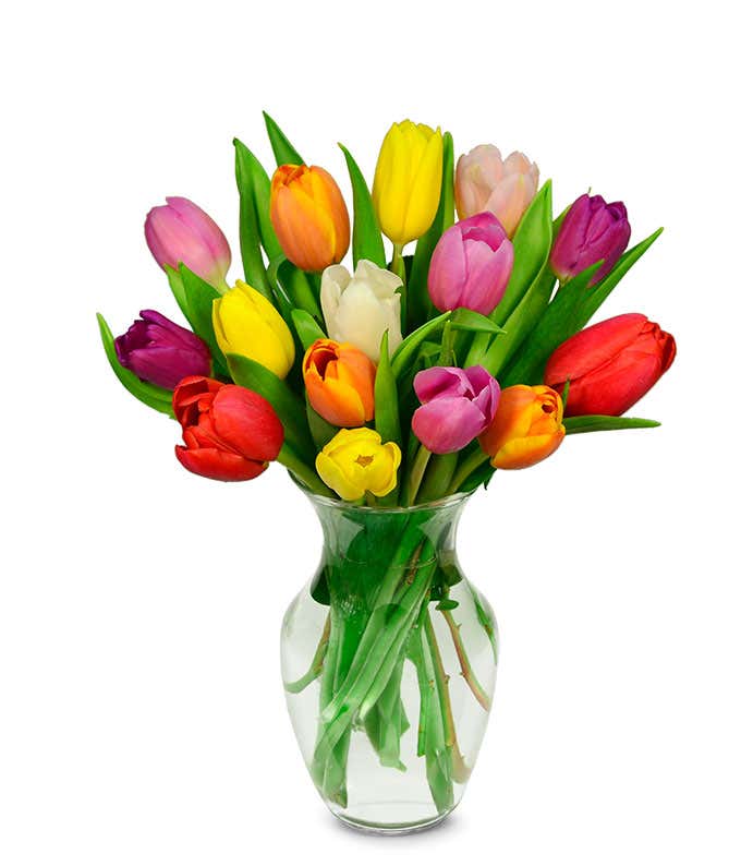 Bouquet of 12 vibrant rainbow tulips with optional elegant glass vase and personalized gift message for a new baby.