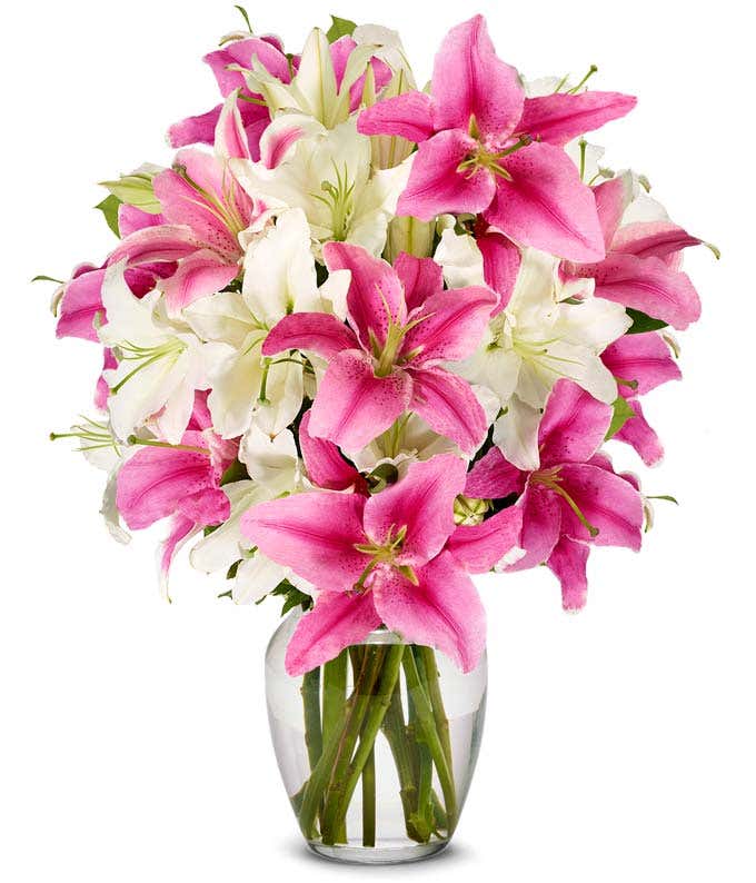 Premium bouquet of pink and white lilies with optional elegant glass vase and personalized gift message for a housewarming.