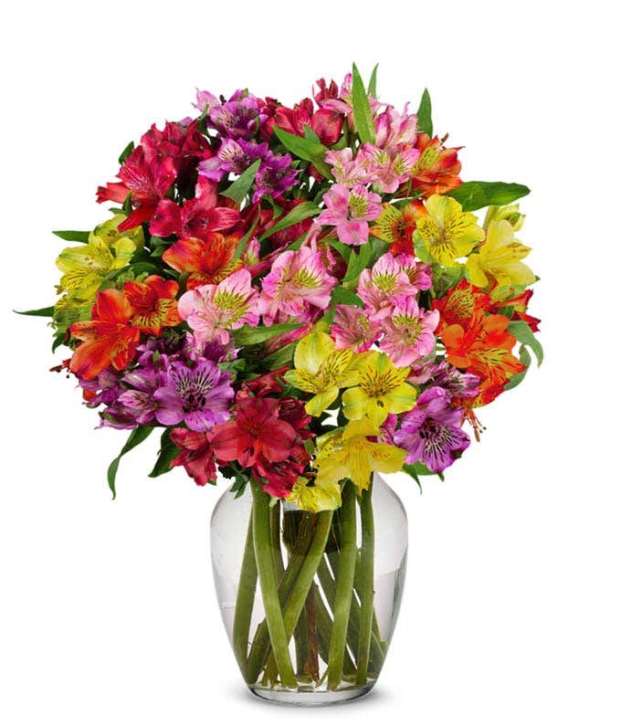 A bouquet of 15 stems of alstroemeria in assorted colors, with an optional vase.