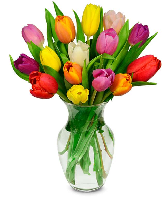 A delightful arrangement of seasonal tulips in a variety of colors, offering a fresh and vibrant display. These beautiful tulips bring a burst of color and cheer to any setting.