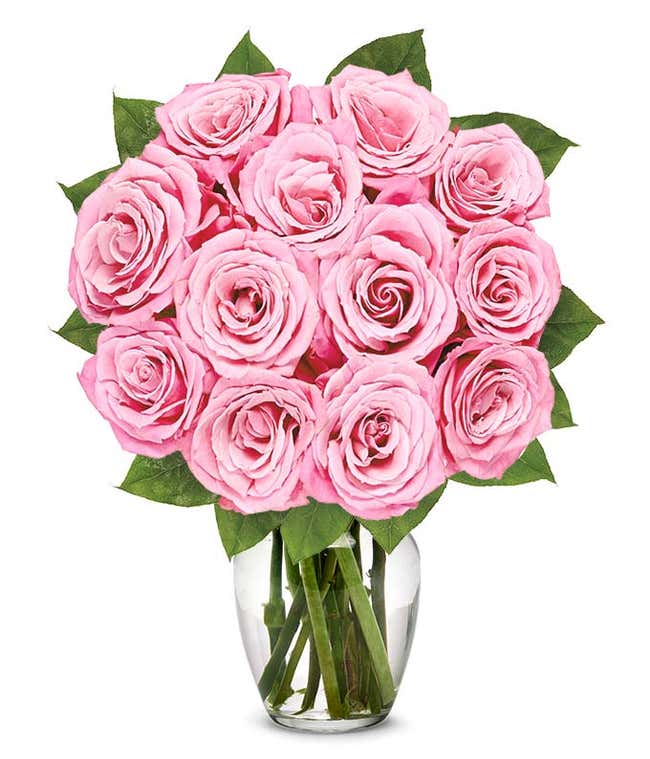 A delicate arrangement featuring one dozen light pink roses. This elegant and timeless display offers a touch of romance and sophistication, perfect for any special occasion.