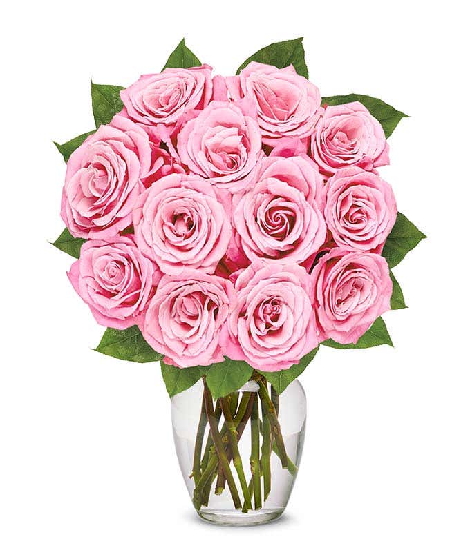 A delicate arrangement featuring one dozen light pink roses. This elegant and timeless display offers a touch of romance and sophistication, perfect for any special occasion.