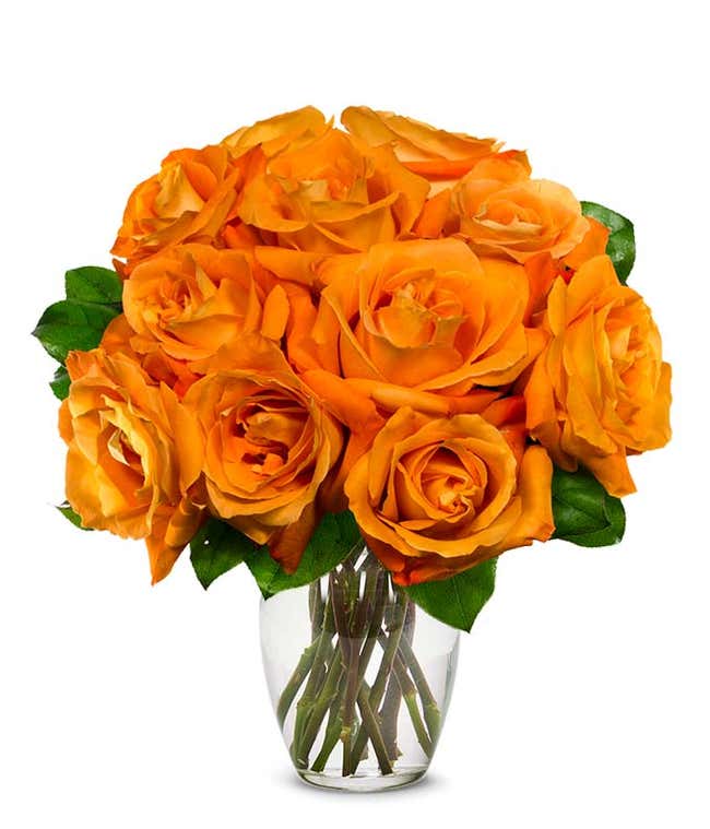 One Dozen Orange Roses in a Clear Glass Vase