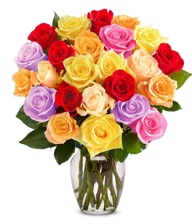 Two dozen rainbow roses for Mother's Day rose delivery