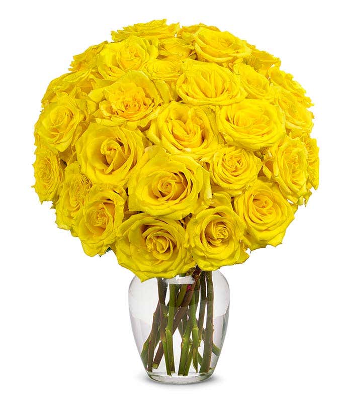 Next day delivery of yellow roses