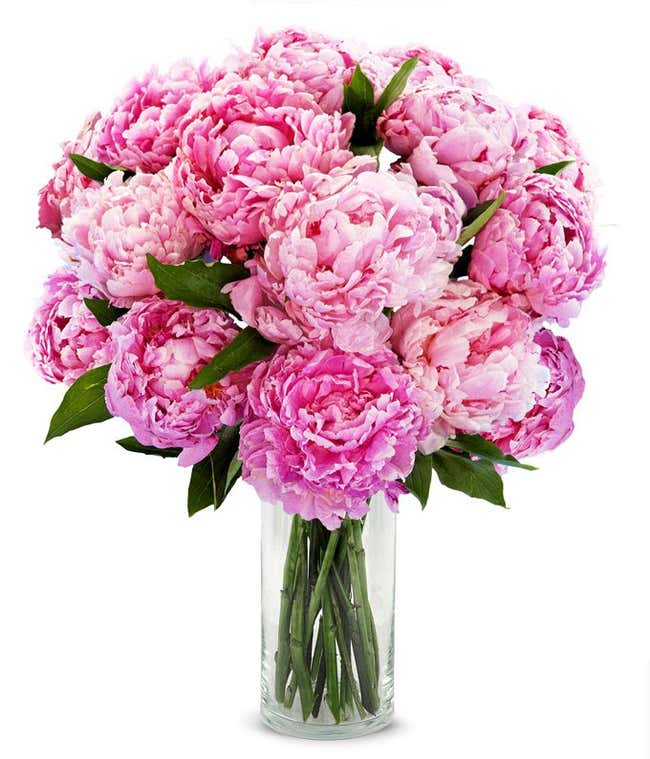 A stunning arrangement of 10 assorted pink peonies, optionally presented in a glass vase. These lush and fragrant peonies create a beautiful and elegant display, perfect for adding a touch of romance to any setting.