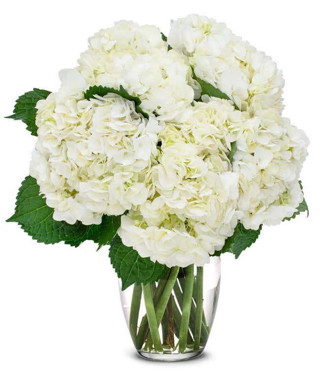 White Hydrangea Bouquet