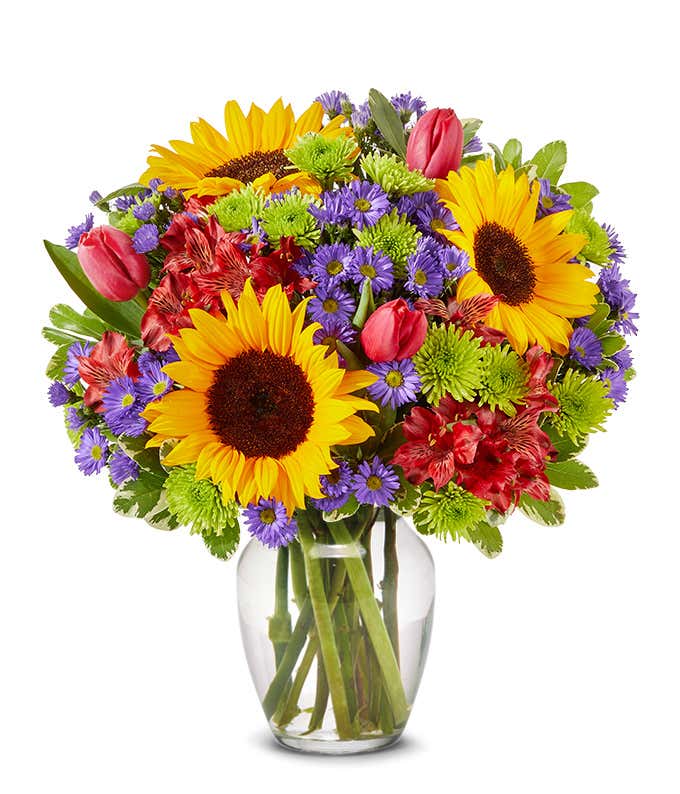 A vibrant arrangement featuring sunflowers, pink tulips, red alstroemeria, purple Monte Casino asters, and green poms, optionally arranged in a glass vase. This lively mix offers a bright and cheerful display.