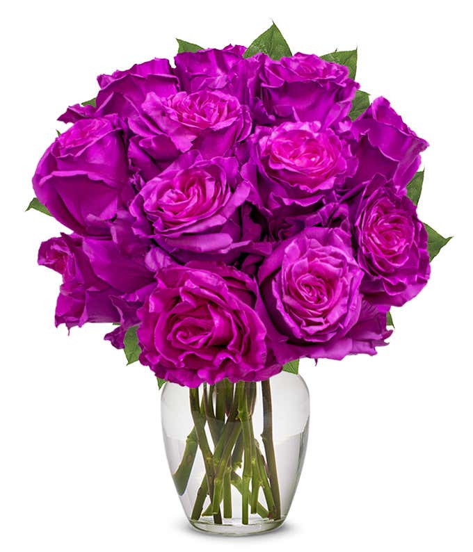 One Dozen Magenta Roses