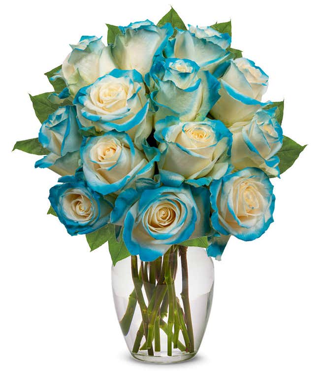 One Dozen Aquamarine Roses