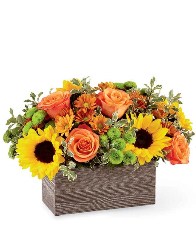 A bright and cheerful floral arrangement featuring sunflowers, orange roses, butterscotch daisies, and green poms, all beautifully arranged in a wooden planter.