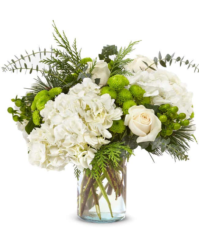 Ivory roses, white hydrangea, green berries, green button poms, seasonal greens in a glass vase, offering a harmonious blend of elegance and natural beauty.