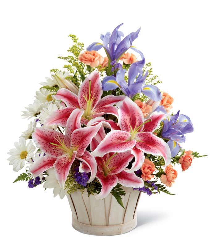 Pink Stargazer lilies, blue iris, white daisies, purple statice in a white washed basket.