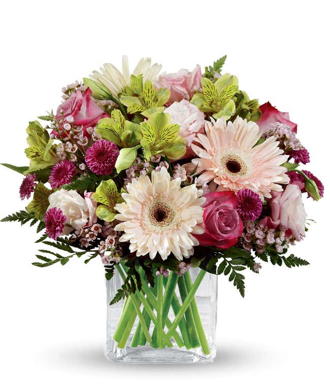 White gerbera daisies arranged with purple roses, and green and purple filler, in a short cube vase