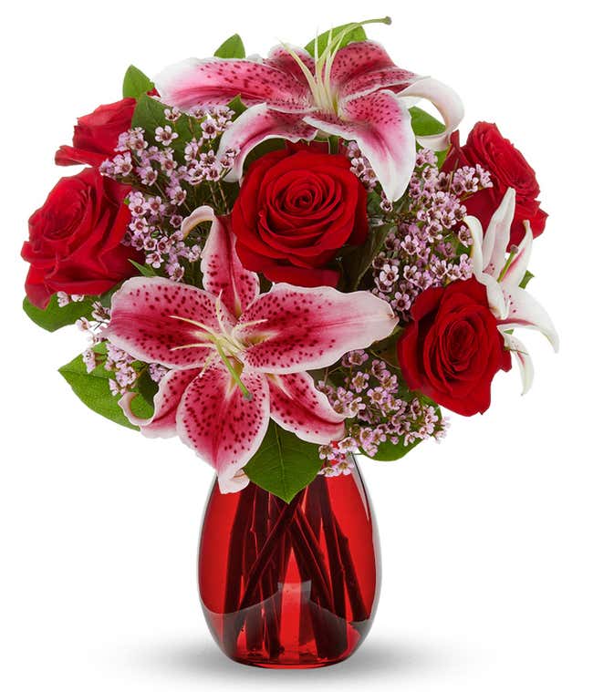 A striking arrangement featuring red roses, stargazer lilies, waxflower, and seasonal greens, elegantly presented in a red cylinder vase. This bold and vibrant display is perfect for adding a touch of elegance and passion to any occasion.