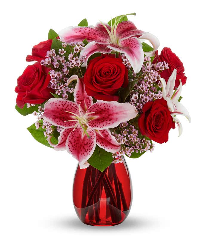 A striking arrangement featuring red roses, stargazer lilies, waxflower, and seasonal greens, elegantly presented in a red cylinder vase. This bold and vibrant display is perfect for adding a touch of elegance and passion to any occasion.