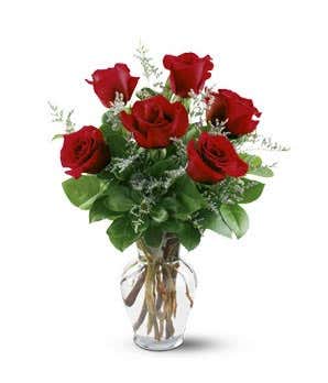 1/2 dozen red roses