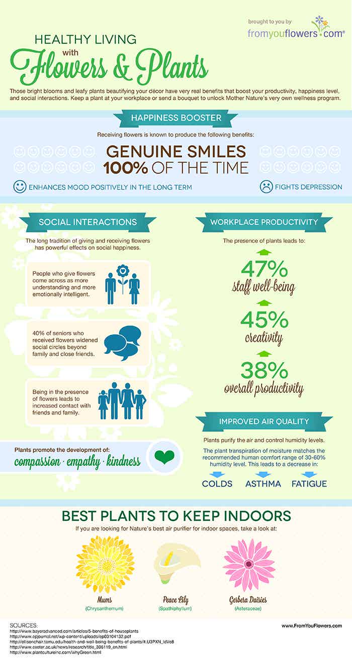 Healthy Living with Flowers and Plants infographic, brought to you by From You Flowers