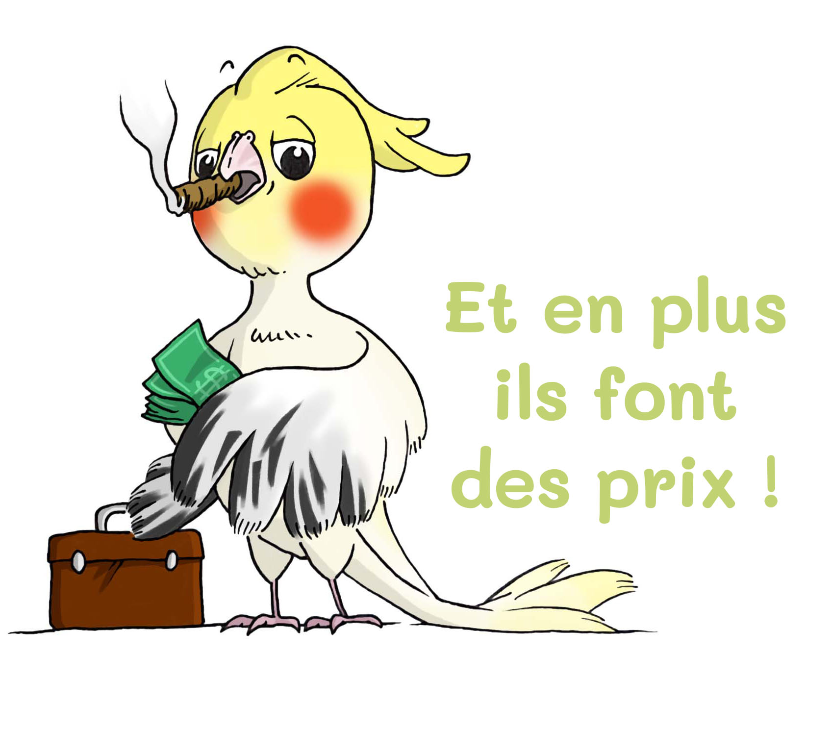 perruches-banquier perruches-banquier