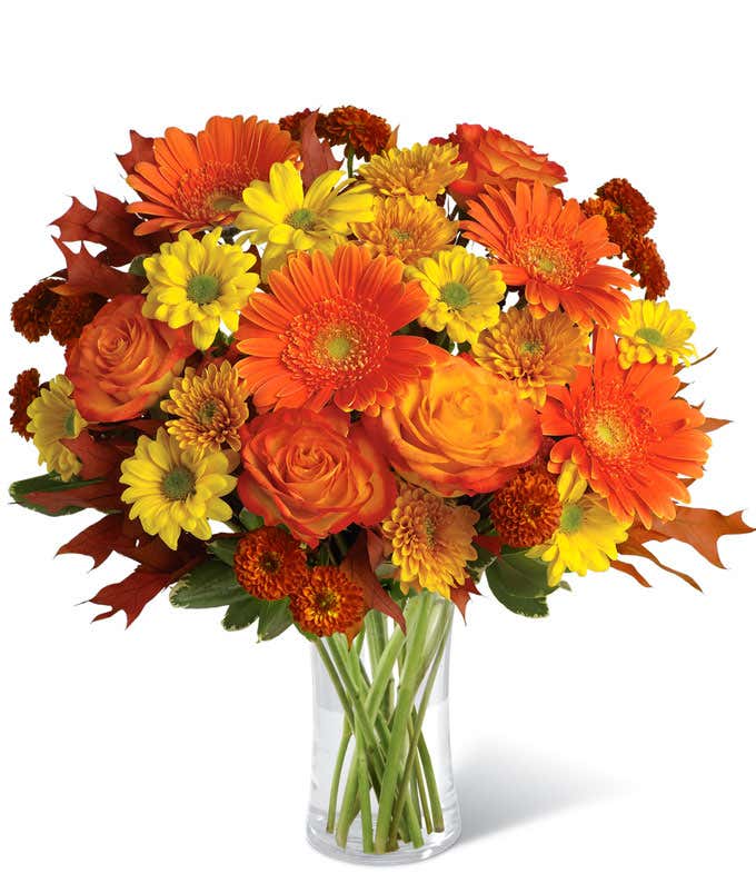 Arrangement of orange roses, orange gerbera daisies, yellow daisy spray chrysanthemums, orange cushion spray chrysanthemums, rust button spray chrysanthemums, variegated pittosporum, brown transparent oak leaves in a tall cylinder vase.