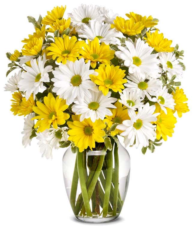 A cheerful arrangement featuring white daisy spray chrysanthemums, yellow daisy spray chrysanthemums, and assorted greens, all elegantly presented in a clear vase. This bright and fresh display is perfect for adding a touch of sunshine to any space.