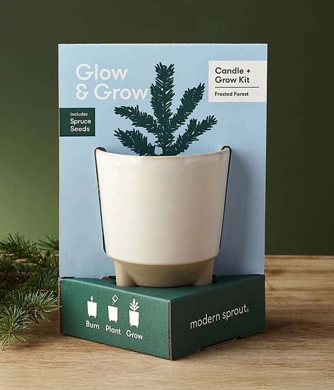 Candle and grow kit featuring a cream-colored planter. The box reads Glow & Grow and Candle + Grow Kit Frosted Forest and mentions it includes spruce seeds. The planter sits on a green base.