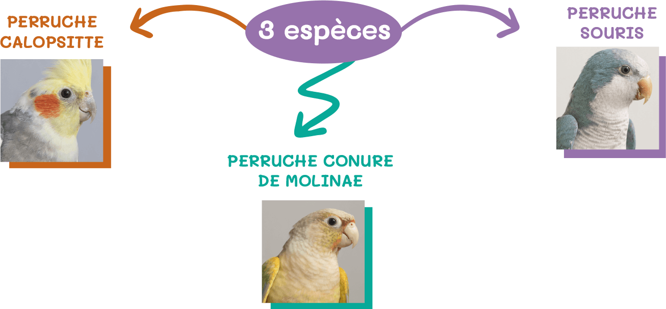 3especes 3especes