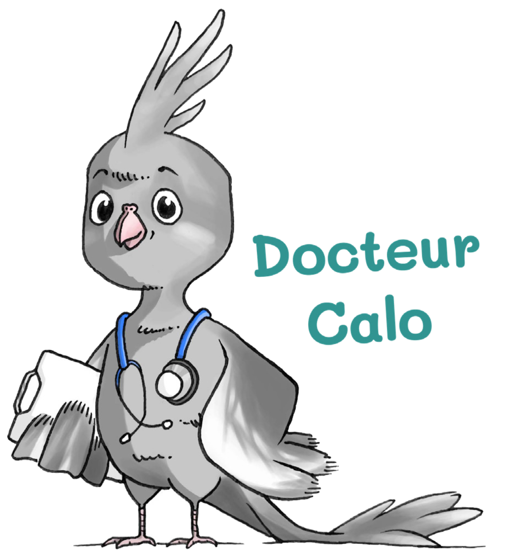 docteur-calo-bricoleur-