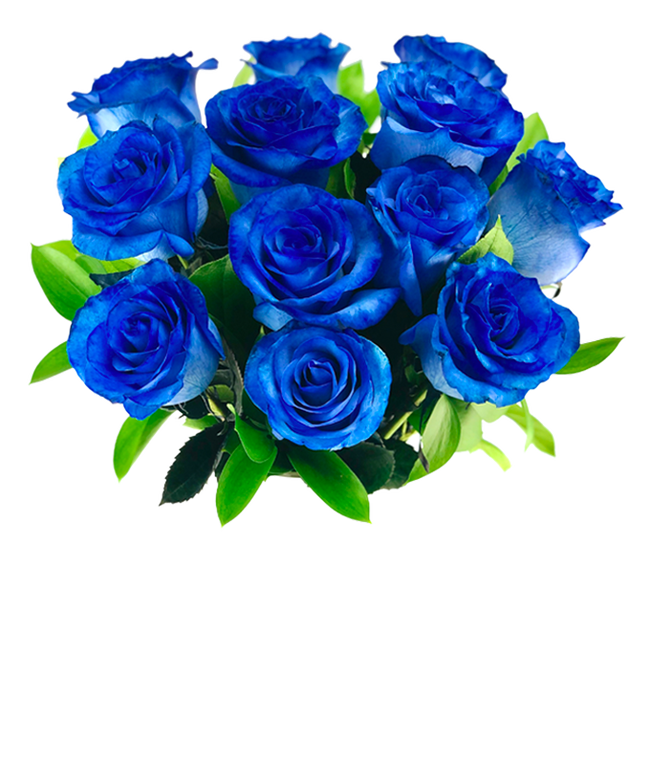 Partial image of A bouquet of one dozen blue roses, optionally arranged in a glass vase. without vase