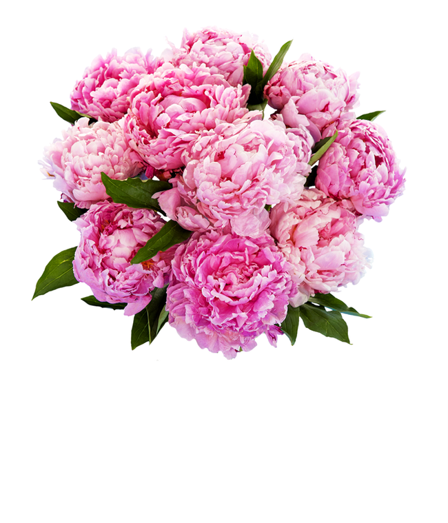 Partial image of A stunning arrangement of 10 assorted pink peonies, optionally presented in a glass vase. These lush and fragrant peonies create a beautiful and elegant display, perfect for adding a touch of romance to any setting. without vase