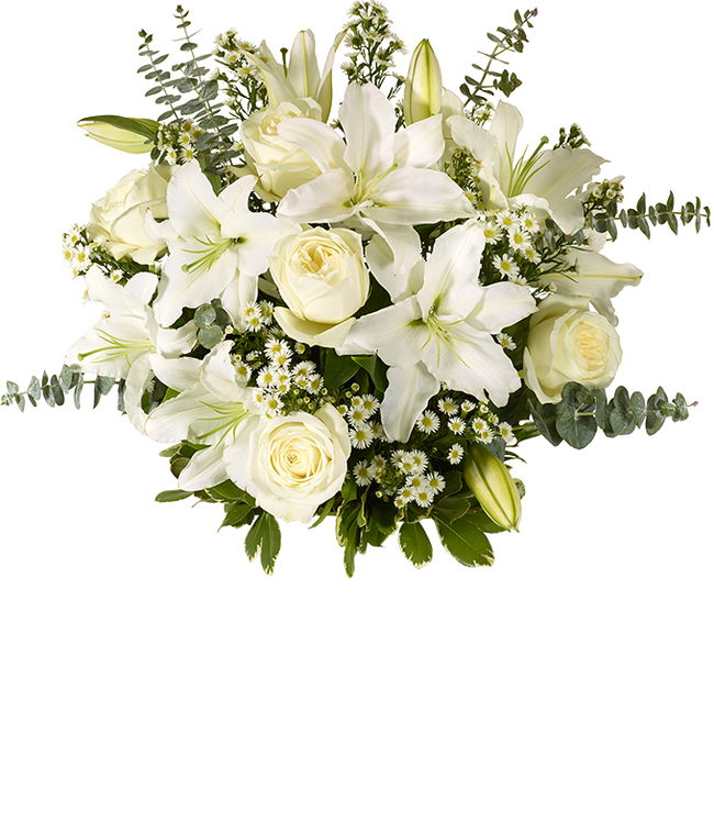 Partial image of An elegant floral arrangement featuring white roses, white lilies, white asters, and eucalyptus, optionally displayed in a glass vase. without vase