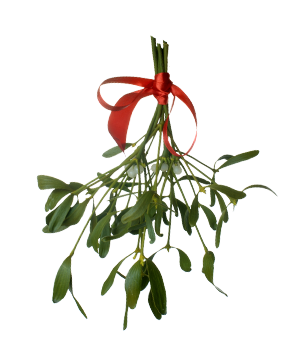 Mistletoe